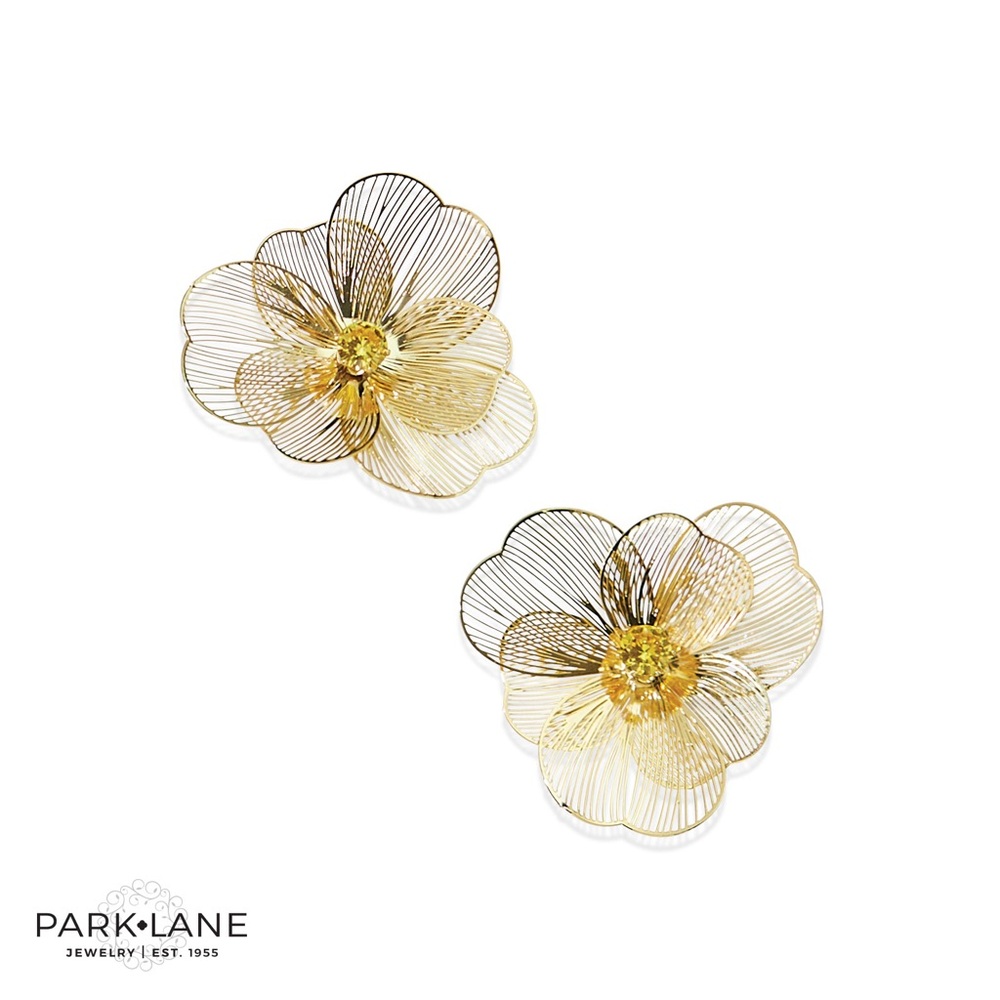 NEW Park Lane Poppy Earrings